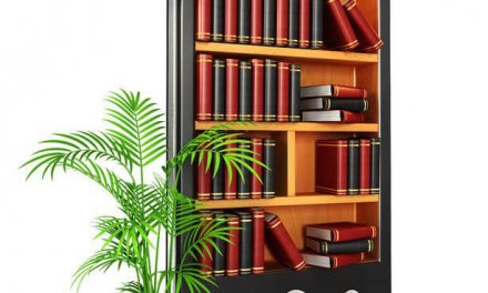 The KDP Select Program