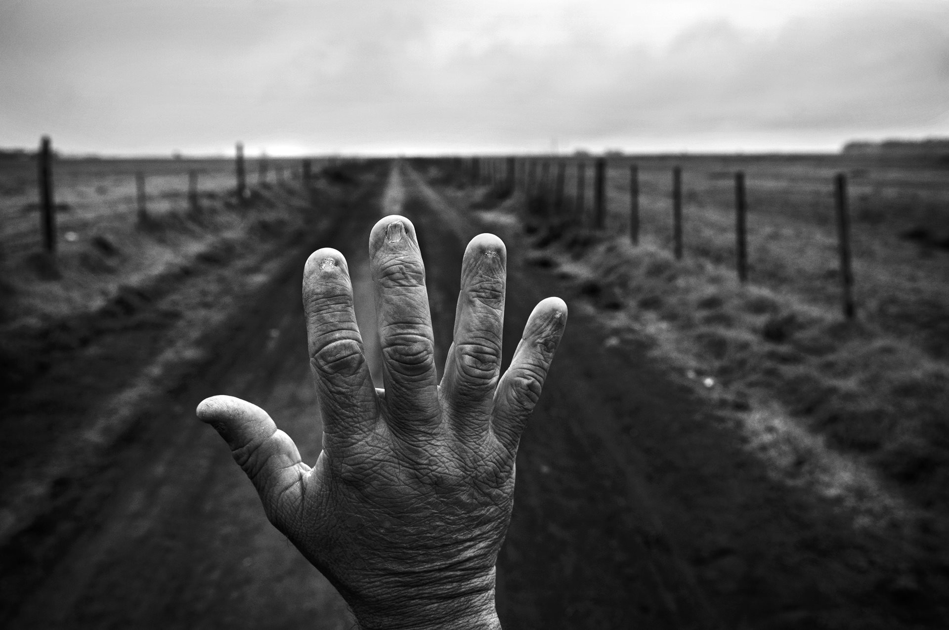 The Human Cost of Agrotoxins